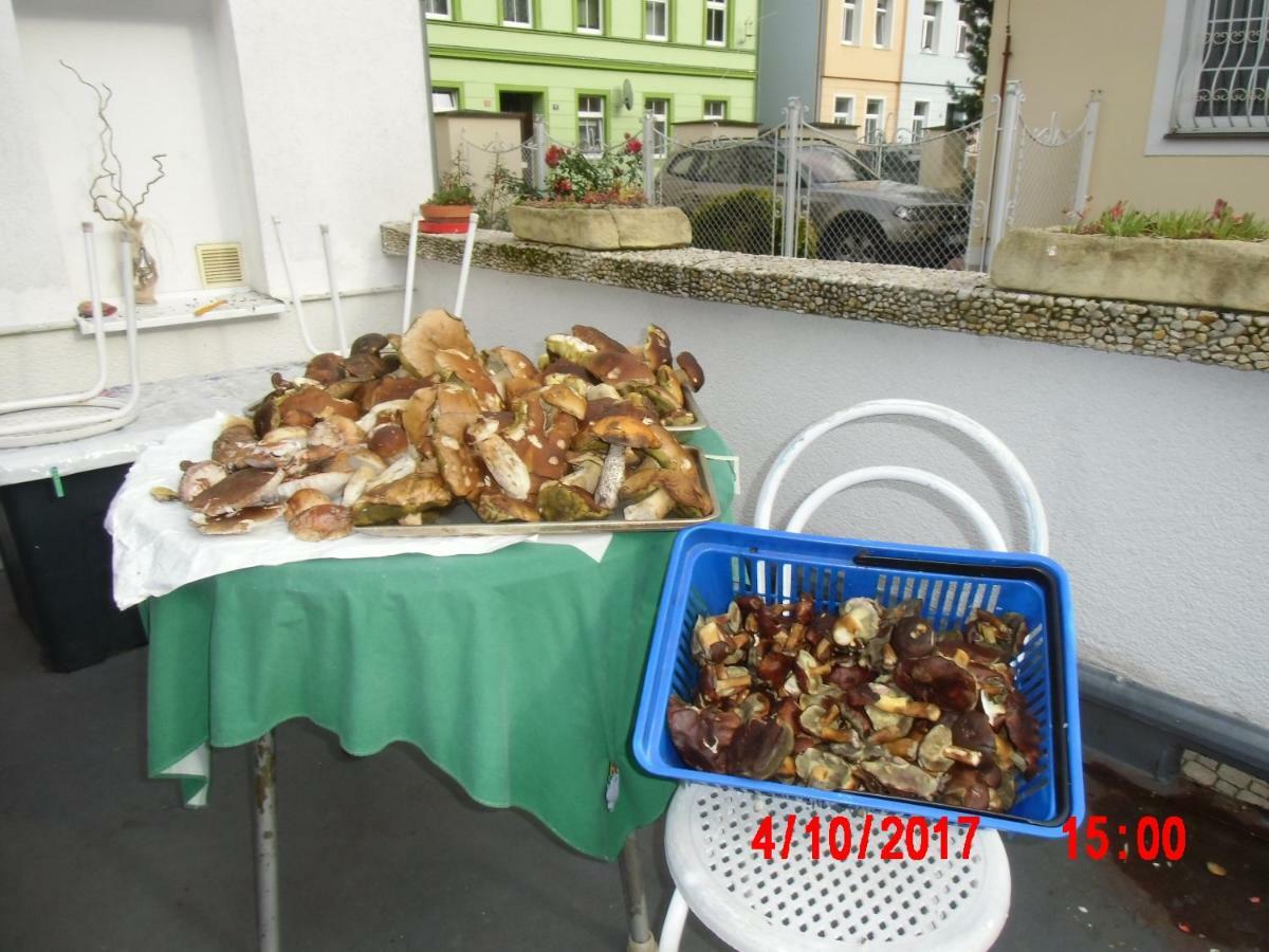 Pension U Kaktusu Karlsbad Exteriör bild